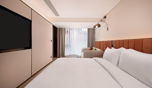 Premium Room, 1 King Bed, Bathtub