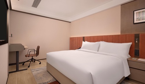 Room, 1 King Bed with Sofa bed (Guest)