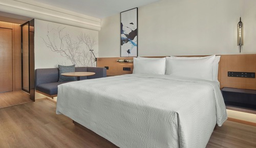 Premier Room, 1 King Bed (View)