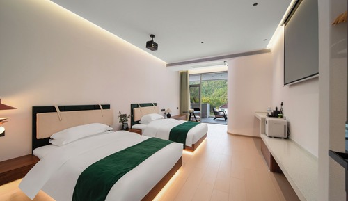 Business Twin Room, Mountain View