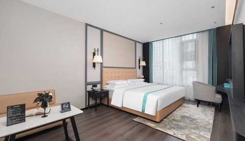 Comfort Single Room