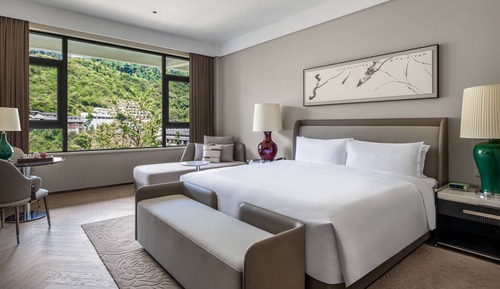 Premium Room, 1 King Bed, Mountain View