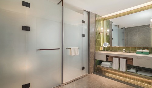Business Suite, 1 Bedroom