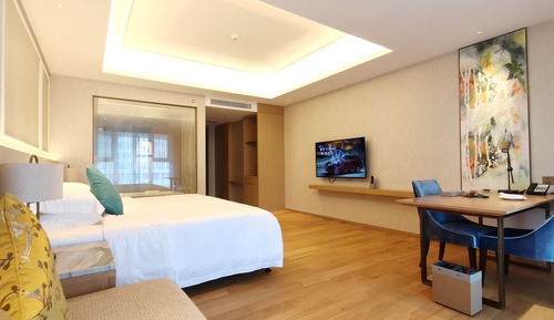 Superior Single Room