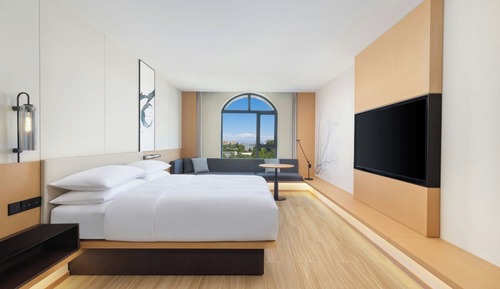Premier Room, 1 King Bed
