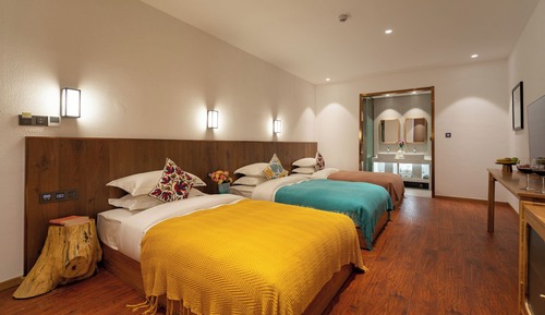 Basic Triple Room