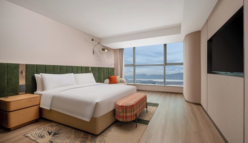 Room, 1 King Bed, Accessible