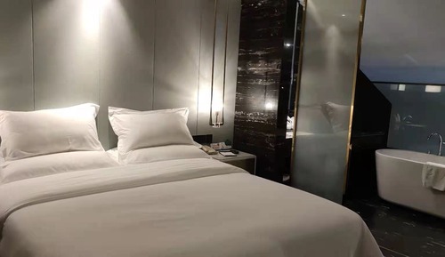 Executive Studio Suite