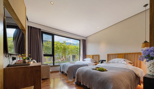 Basic Twin Room