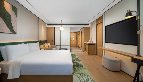 Room, 1 King Bed, Accessible