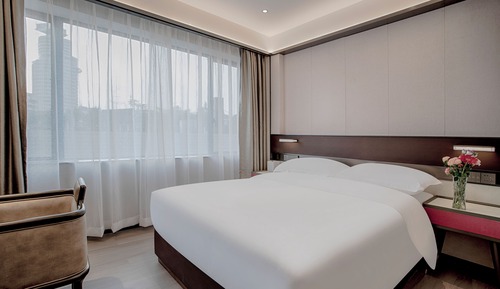 Business Single Room, Mountain View