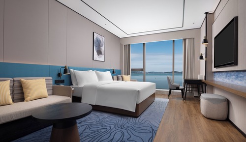 Basic Room, 1 King Bed