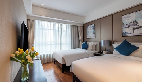Deluxe Twin Room, City View