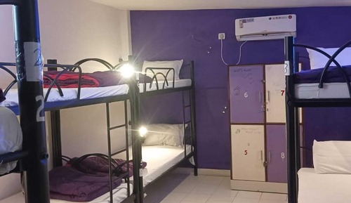 Comfort Shared Dormitory