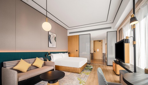 Superior Room, 1 King Bed (Sofabed)