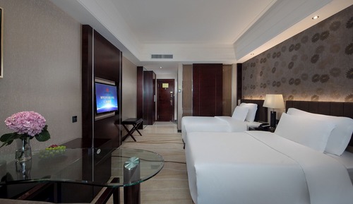 Basic Twin Room