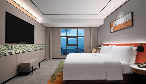 Business Single Room, 1 King Bed (High Floor)