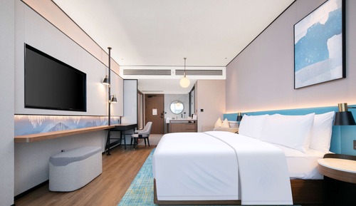Room, 1 King Bed