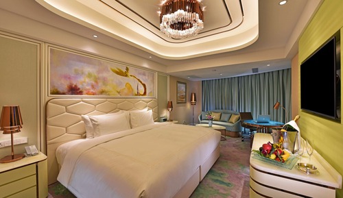 Room (Collection - Panoramic View)