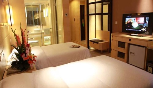 Executive Room, 2 Twin Beds