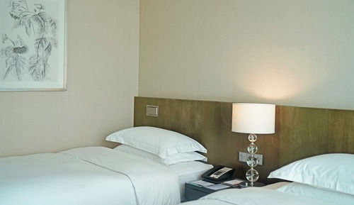 Deluxe Lake View Twin Room