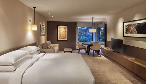 Room, 1 King Bed