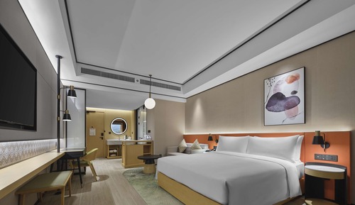 Room, 1 King Bed
