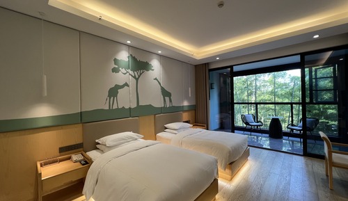 Classic Twin Room, Mountain View