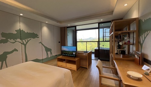 Basic Double Room, Mountain View
