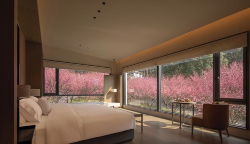 Luxury Double Room