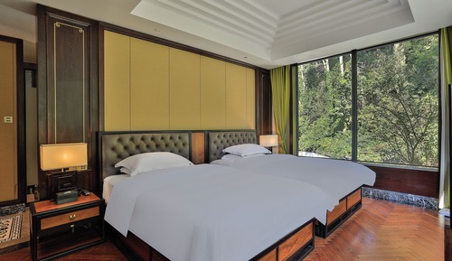 Superior Twin Room, Hill View