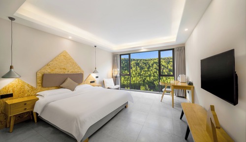 Classic Double Room, Hill View