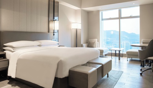 Executive Room, 1 King Bed, Mountain View