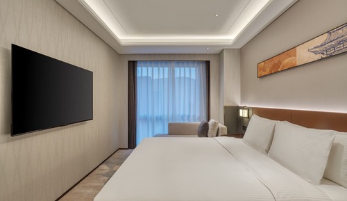 Premier Suite  Room