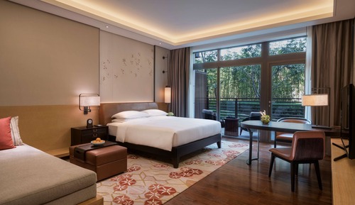 Room, 1 King Bed