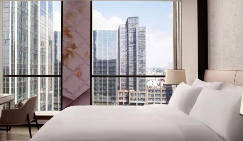 Deluxe King Suite with City View