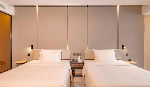Elegant Twin Room