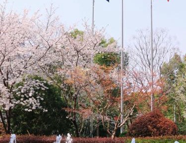 Garden View Room