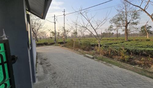 Apartment with Garden View
