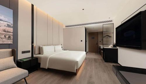 Executive Queen Room