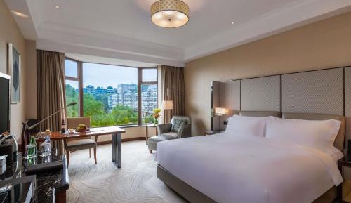Luxury King Room with City View