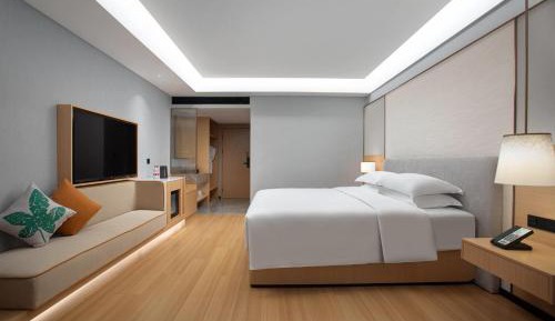 Deluxe King Room with City View