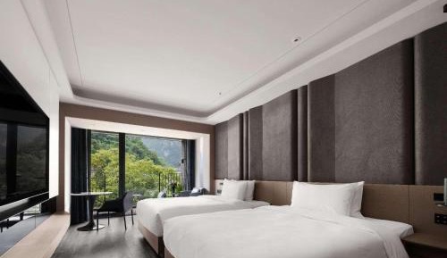 Superior Twin Room with City View