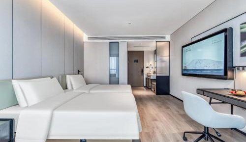 Deluxe Twin Room with City View