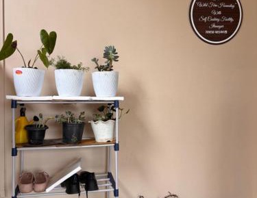 One-Bedroom Apartment - Non-Smoking