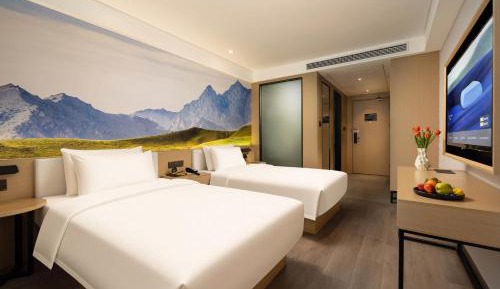 Light Twin Room