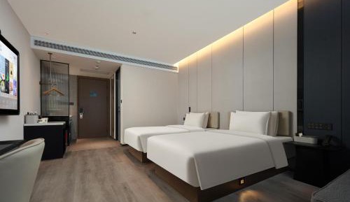 Deluxe Twin Room with City View