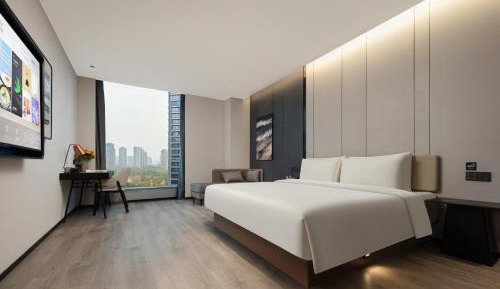 Deluxe Double Room with City View 