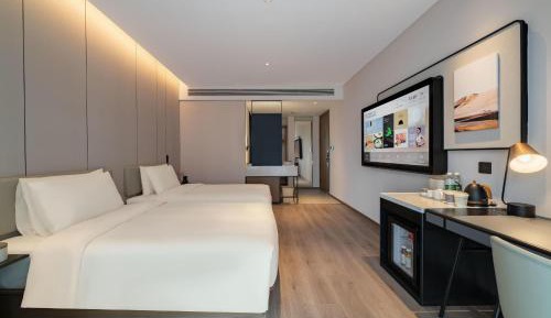 Executive Twin Room