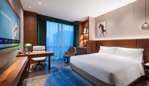 Deluxe king bed room